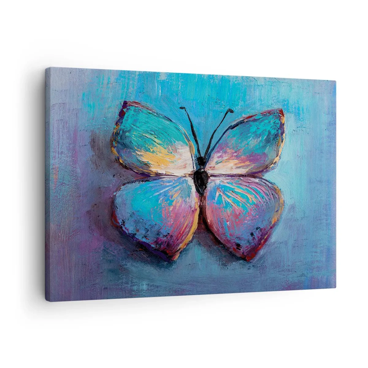 Obraz na plátne - Farebný motýľ na modrom pozadí - 70x50cm - V celej svojej kráse - Moderná nástenná dekorácia do obývacej izby a spálne ARTTOR