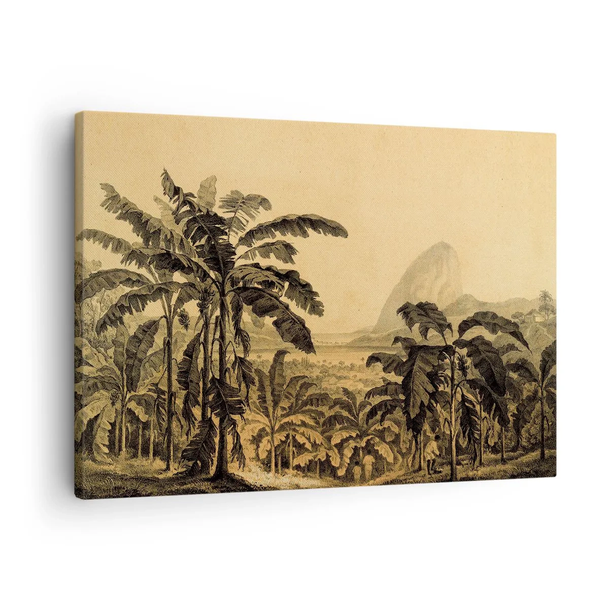 Obraz na plátne - Kresba banánových stromov na pozadí tropickej krajiny - 70x50cm - V koloniálnom štýle - Moderná nástenná dekorácia do obývacej izby a spálne ARTTOR