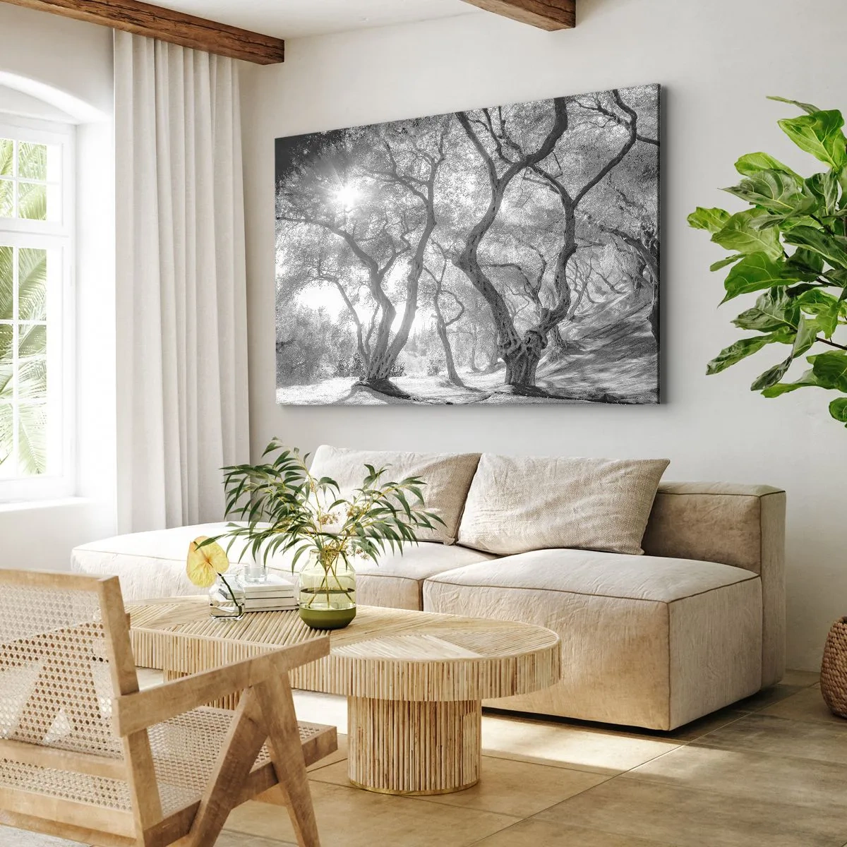 Obraz na plátne - Čiernobiely pohľad na stromy v olivovom háji so slnečnými lúčmi - 70x50cm - V olivovom háji - Moderná nástenná dekorácia do obývacej izby a spálne ARTTOR
