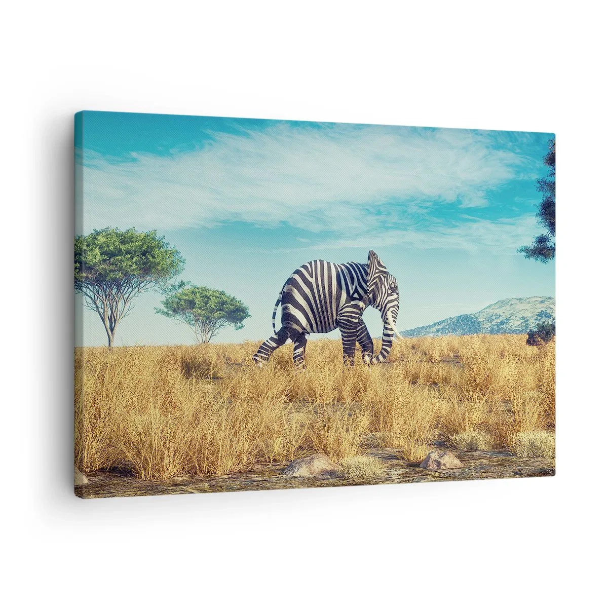 Obraz na plátne - Zebra v africkej krajine - 70x50cm - Šedá už nie je v móde - Moderná nástenná dekorácia do obývacej izby a spálne ARTTOR