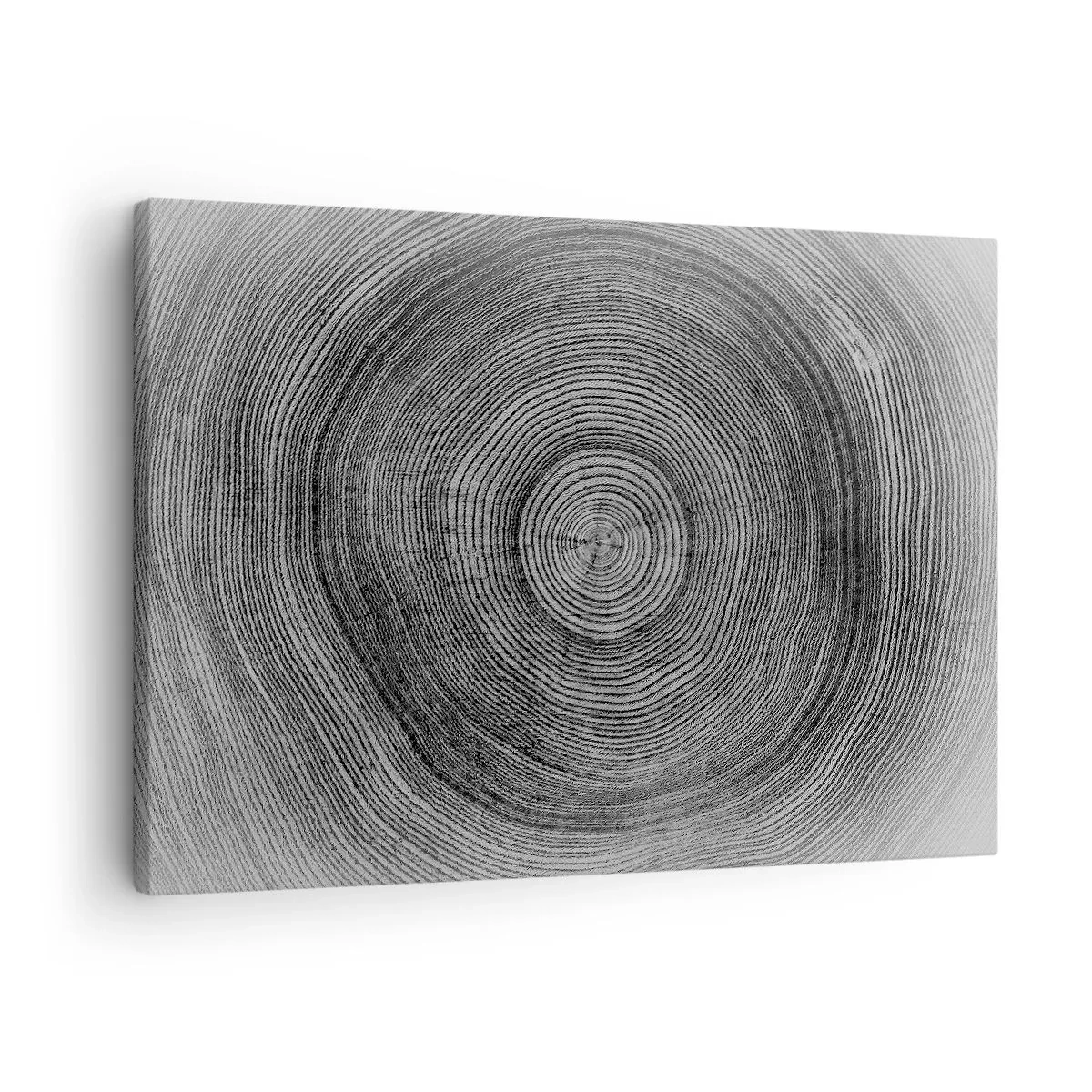 Obraz na plátne - Čiernobiely vzor letokruhov zobrazujúci prierez kmeňa - 70x50cm - Znamenie doby - Moderná nástenná dekorácia do obývacej izby a spálne ARTTOR