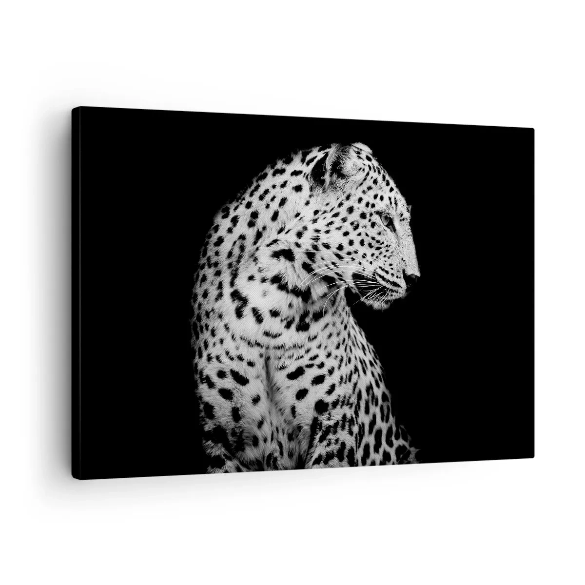 Obraz na plátne - Čiernobiely obrázok leoparda na čiernom pozadí - 70x50cm - Pravý profil perfektný! - Moderná nástenná dekorácia do obývacej izby a spálne ARTTOR