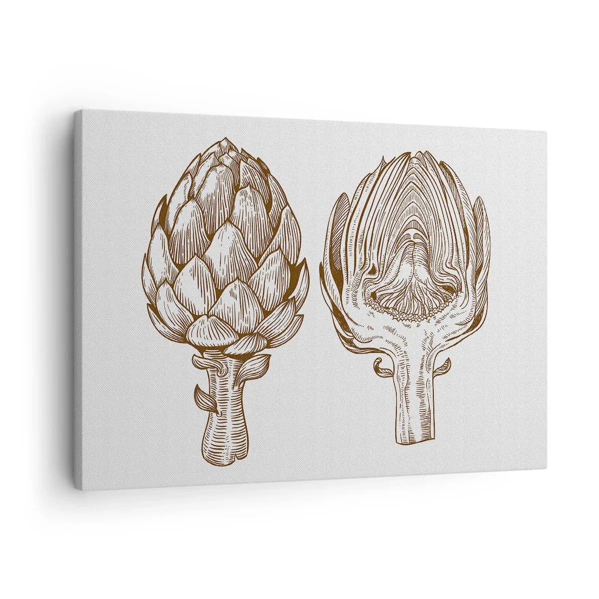 Obraz na plátne - Vintage art kresba artičoky - 70x50cm - Hodiny anatómie - Moderná nástenná dekorácia do obývacej izby a spálne ARTTOR