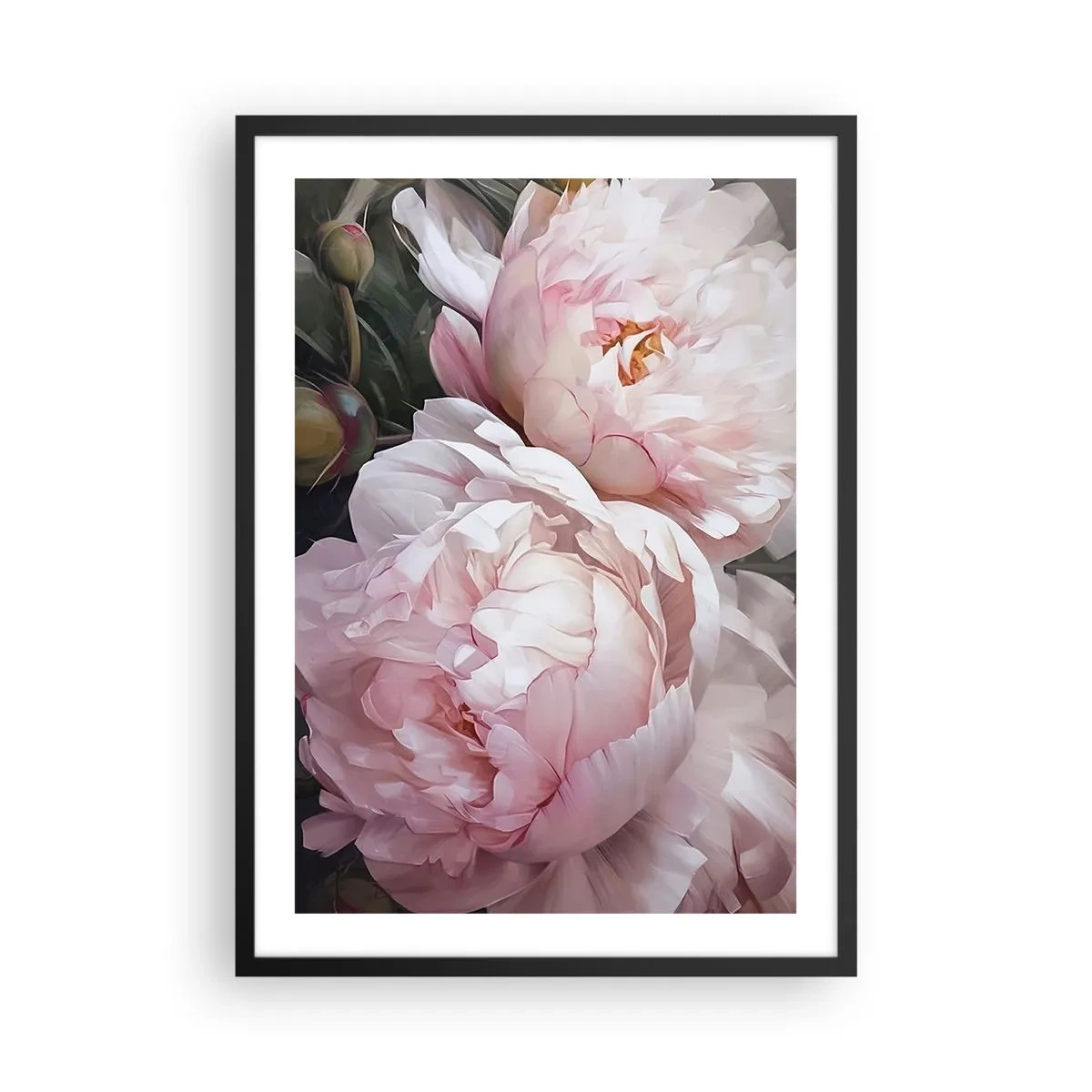 Plagát v čiernom ráme - Jemné pivonky v pastelových odtieňoch ružovej a bielej - 50x70cm - Uchytené v rozkvete - Moderná nástenná dekorácia do obývacej izby a spálne ARTTOR