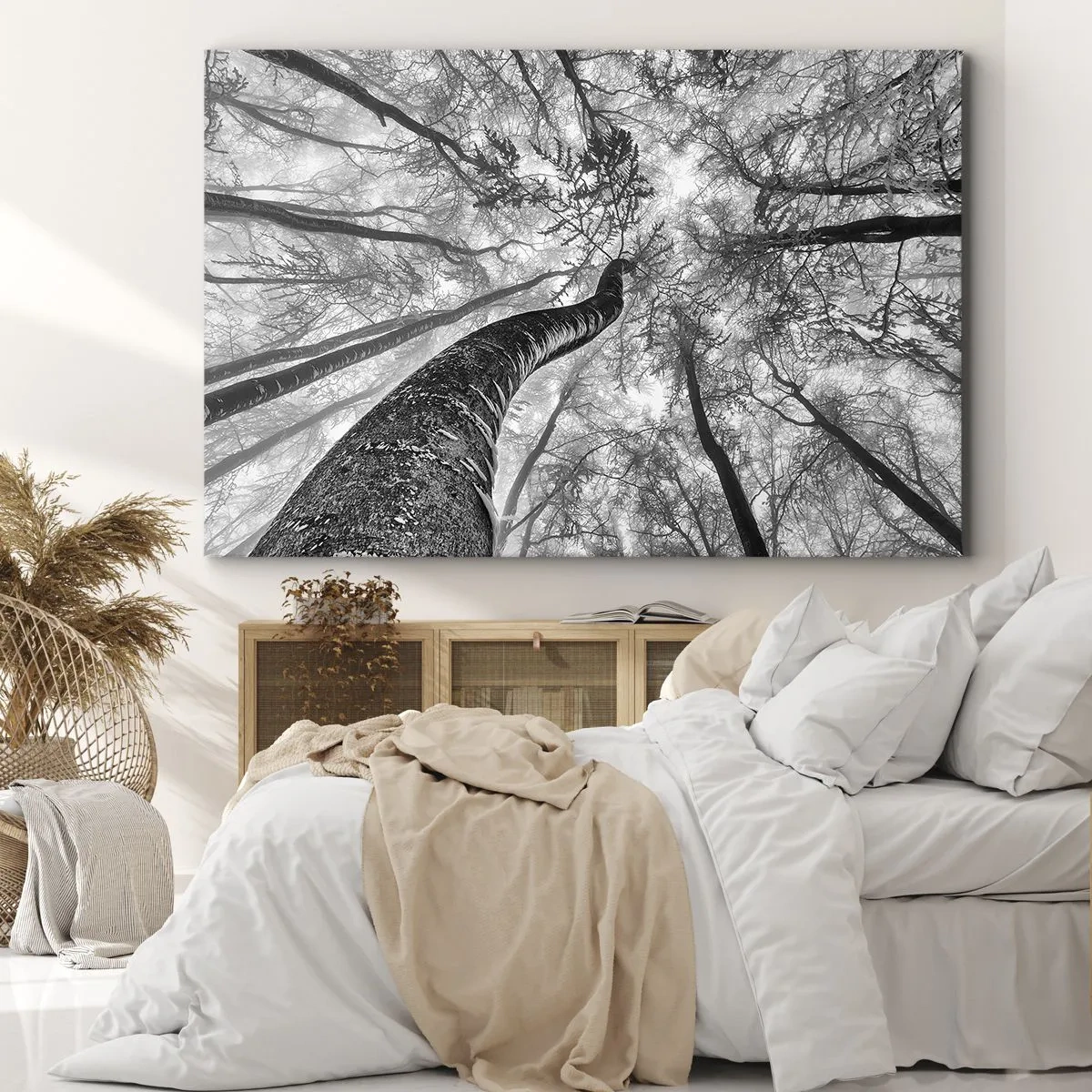 Obraz na plátne - Perspektíva stromov v lese videných zdola v odtieňoch sivej - 70x50cm - Závod ku svetlu - Moderná nástenná dekorácia do obývacej izby a spálne ARTTOR