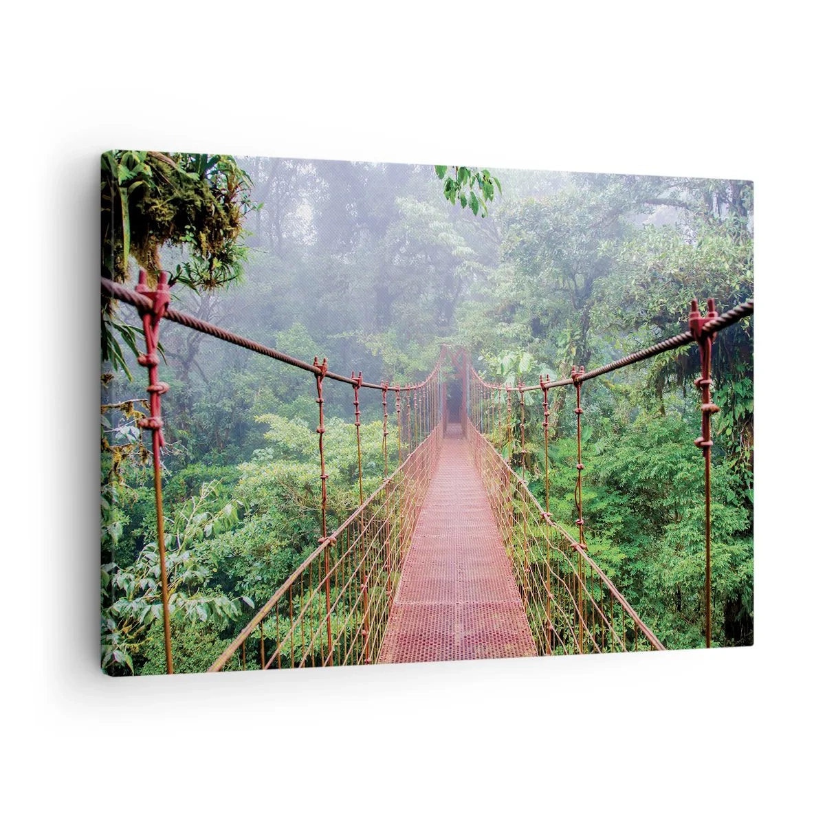 Obraz na plátne - Visutý most v tropickej džungli obklopený hmlou - 70x50cm - Zavesený nad korunami - Moderná nástenná dekorácia do obývacej izby a spálne ARTTOR