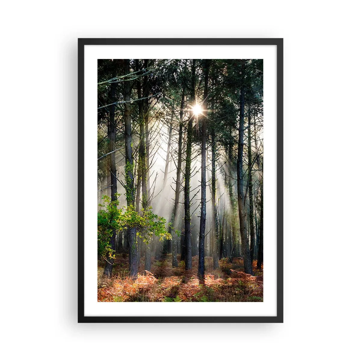 Plagát v čiernom ráme - Magické slnečné lúče v lesnej scenérii - 50x70cm - Lesná divočina - Moderná nástenná dekorácia do obývacej izby a spálne ARTTOR