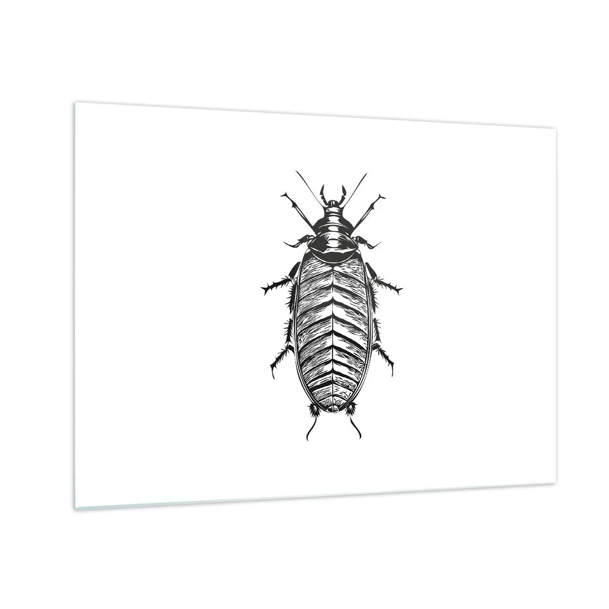 Obraz na skle - Čiernobiela ilustrácia hmyzu na bielom pozadí - 70x50cm - Vzorový exemplár! - Moderná nástenná dekorácia do obývacej izby a spálne ARTTOR