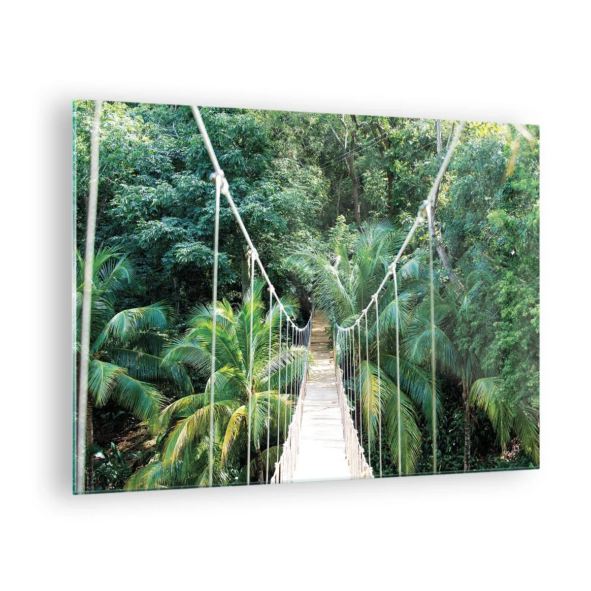 Obraz na skle - Visutý most v tropickom lese - 70x50cm - Welcome to the jungle! - Moderná nástenná dekorácia do obývacej izby a spálne ARTTOR