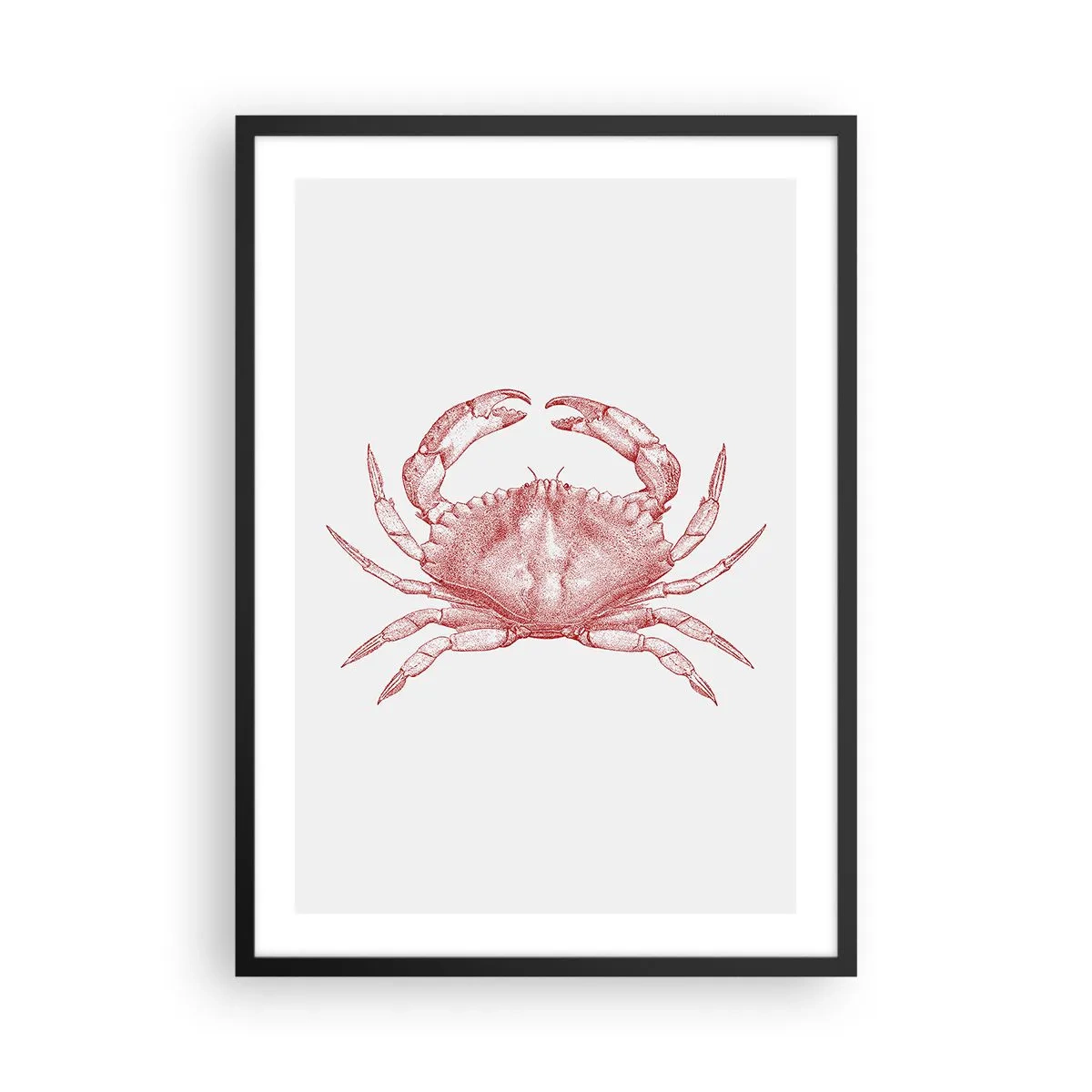 Plagát v čiernom ráme - Vintage krab kresba na svetlom pozadí - 50x70cm - Krab nad kraby - Moderná nástenná dekorácia do obývacej izby a spálne ARTTOR