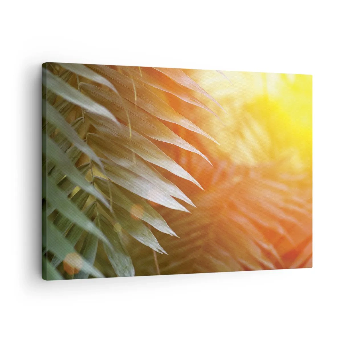 Obraz na plátne - Palmové listy v lúčoch západu slnka - 70x50cm - Ráno v džungli - Moderná nástenná dekorácia do obývacej izby a spálne ARTTOR