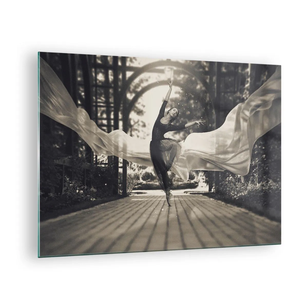 Obraz na skle - Tanečník v pohybe na pozadí záhrady v čiernobielej farbe. - 70x50cm - Tanec ducha záhrady - Moderná nástenná dekorácia do obývacej izby a spálne ARTTOR