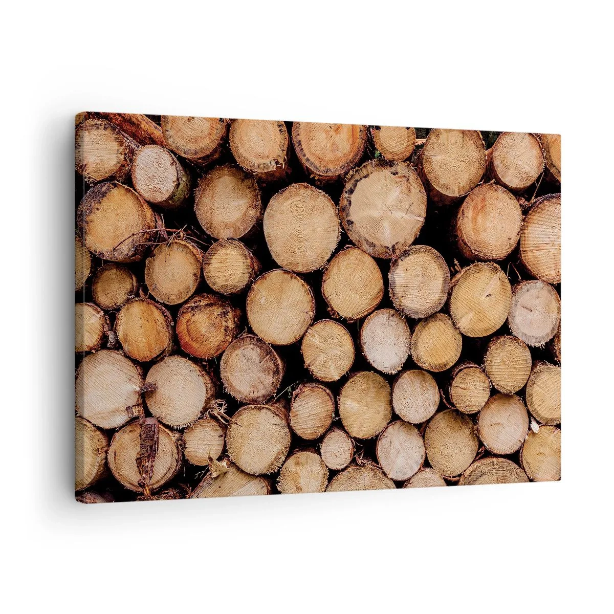 Obraz na plátne - Hromady popadaných kmeňov stromov usporiadané v harmónii - 70x50cm - Nový začiatok - Moderná nástenná dekorácia do obývacej izby a spálne ARTTOR