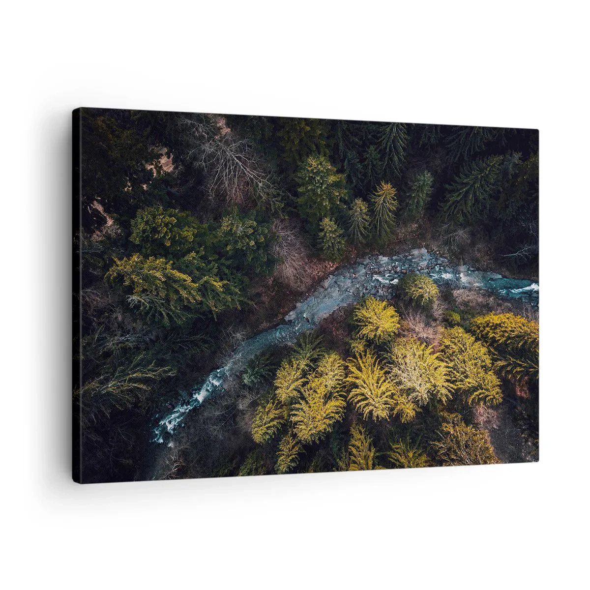 Obraz na plátne - Pohľad zhora na les s kľukatou riekou - 70x50cm - Rýchlo, stále rýchlejšie - Moderná nástenná dekorácia do obývacej izby a spálne ARTTOR