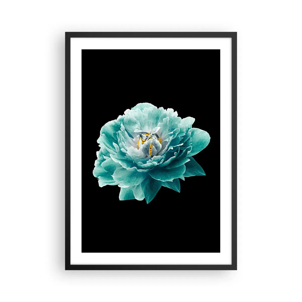 Plagát v čiernom ráme - Tyrkysový kvet so včelou na čiernom pozadí - 50x70cm - Modré a zlaté okvetné lístky - Moderná nástenná dekorácia do obývacej izby a spálne ARTTOR