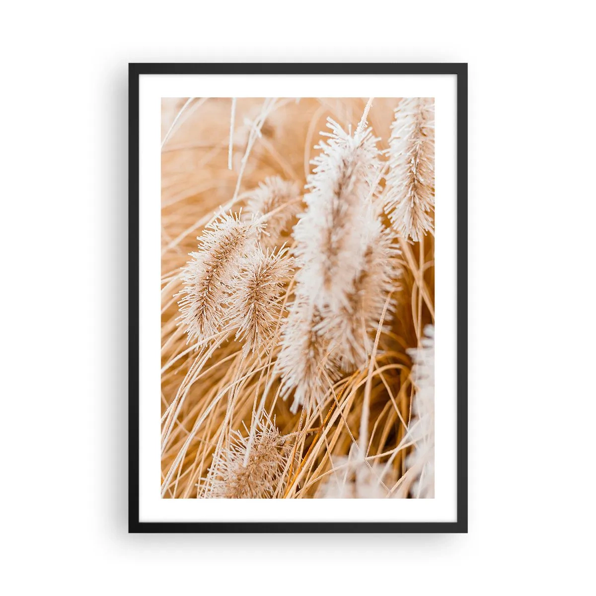 Plagát v čiernom ráme - Jemné klasy trávy v pastelových odtieňoch béžovej - 50x70cm - Zlaté šušťanie tráv - Moderná nástenná dekorácia do obývacej izby a spálne ARTTOR